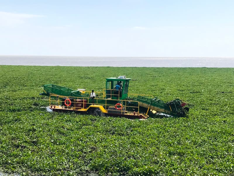 Su Bitkisi Hasat Makinesi Su Temizleme Teknesi Çöp Toplayıcı Tekne