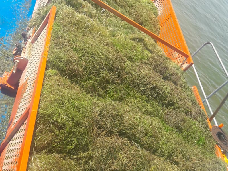 Otomatik Su Temizleme Gemisi/Su Bitkisi Hasat Makinesi/Çöp Toplayıcı Tekne