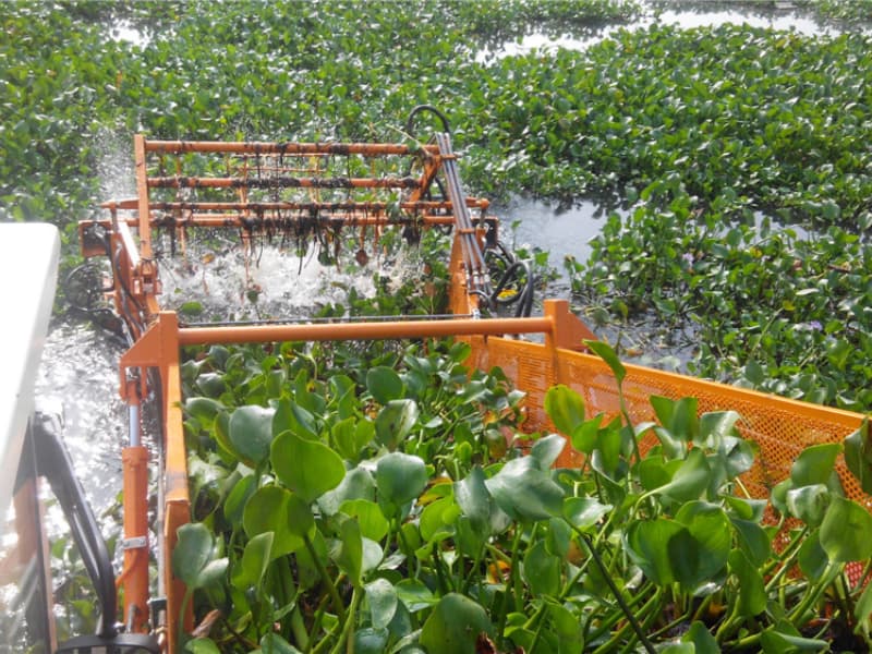 Otomatik Su Temizleme Gemisi/Su Bitkisi Hasat Makinesi/Çöp Toplayıcı Tekne